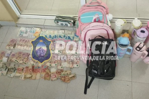 Una jóven robo elementos en un casa y quedó detenida