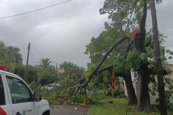 Fuerte temporal en el AMBA: inundaciones, destrozos y miles de usuarios sin luz