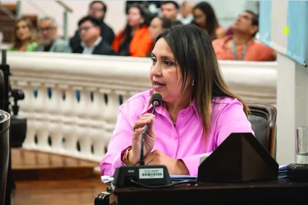 La Libertad Avanza presentó el proyecto de la Boleta Única Papel