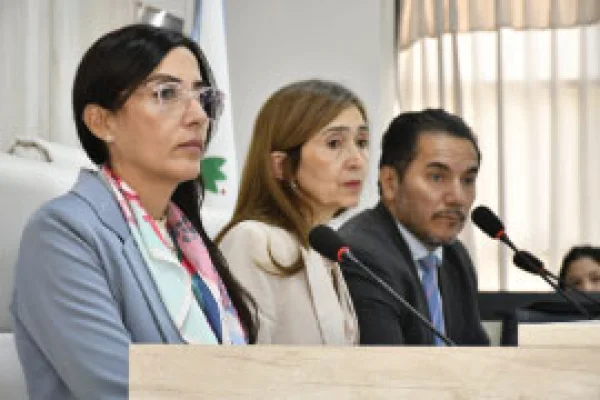 Avanza el juicio por el femicidio de Susana Romero en la Cámara Tercera