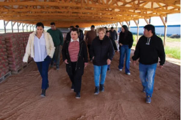 Cerdos de Los Llanos presentó los avances en producción