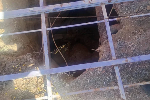 Rescataron a un caballo tras caer a un pozo ciego en Chilecito