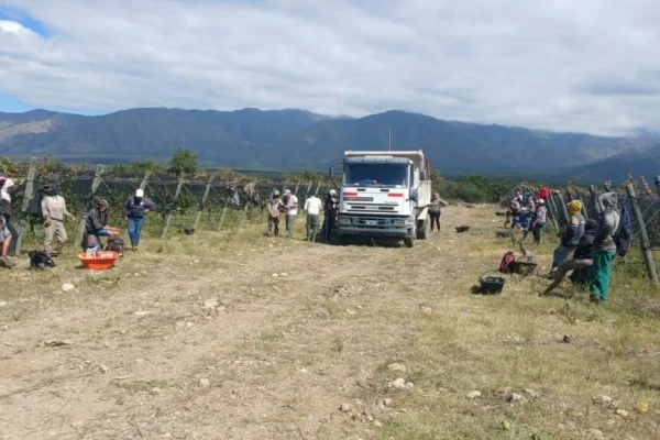 Inspección reveló condiciones laborales irregulares en una finca de Chilecito