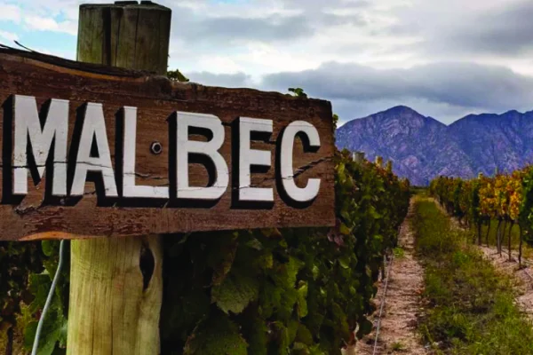 CARPA, bodegas y Chilecito Turismo celebran al Malbec