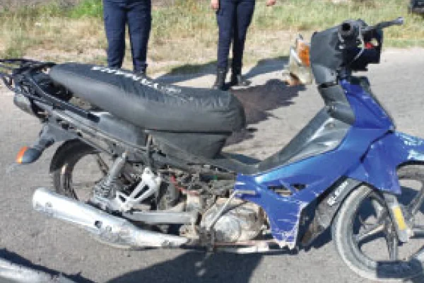 Alerta vial: el 92 por ciento de muertes ocurren en zona urbana