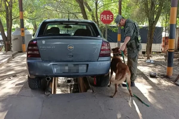 Salta: detuvieron a una pareja que transportaba 23 kilos de cocaína en un auto