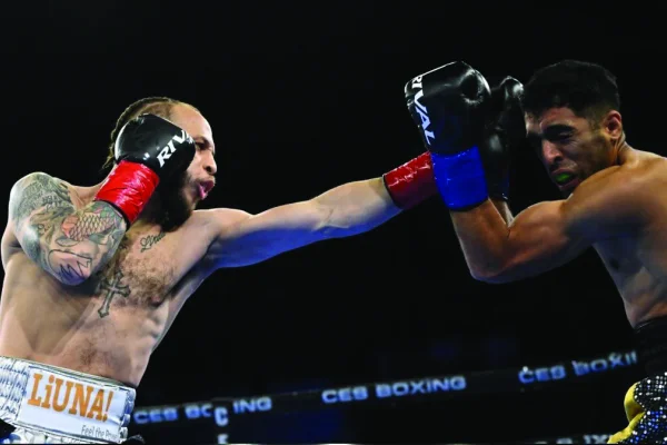 Combate profesional