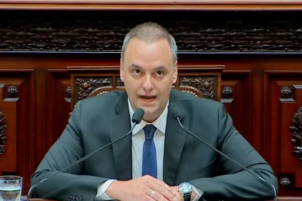 Adorni respaldó en el Congreso el pedido de acceso de Vicuña a la línea eléctrica  de 500 kV