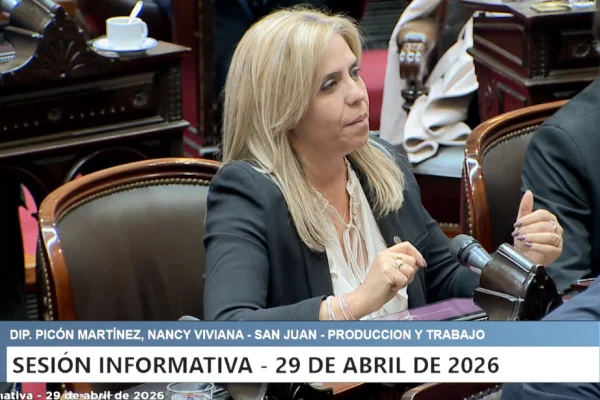 El conflicto por Vicuña en el centro del debate: una diputada sanjuanina pidió definiciones al Gobierno nacional