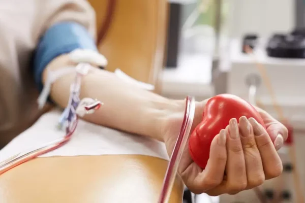 Se realizó una nueva colecta de sangre y médula ósea