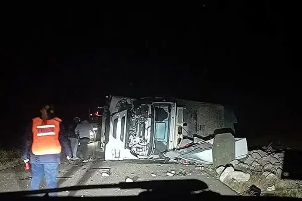 Un camión chocó con un animal vacuno en Ruta N° 29 y volcó