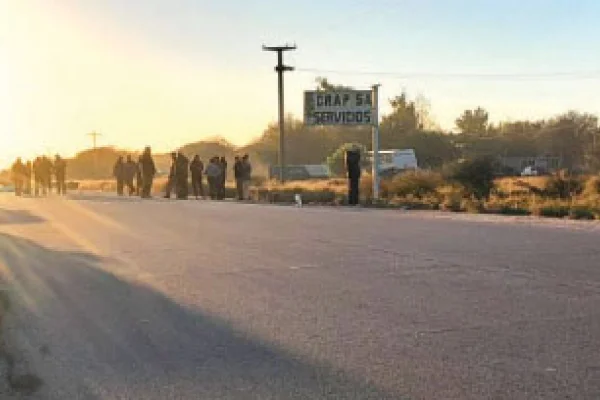 El problema insistente de los animales sueltos en la ruta