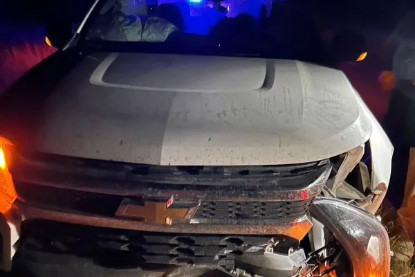 Violento choque contra un animal suelto en la Ruta 79
