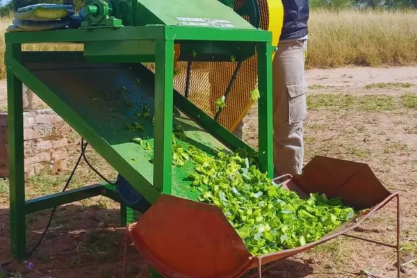 INTA La Rioja desarrolló una máquina picadora para mejorar la alimentación ganadera en zonas áridas