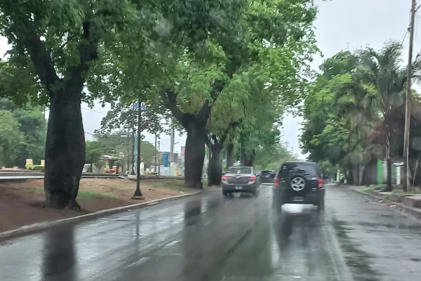 Emiten alerta preventiva por lluvias aisladas, vientos y niebla