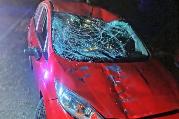 Choque de un auto y un caballo dejó daños materiales