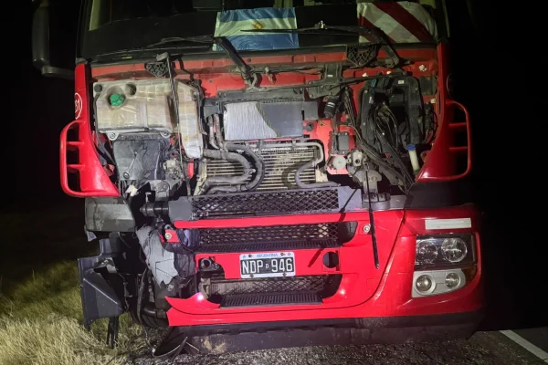 Ocupantes de un camión resultaron ilesos al chocar con un animal