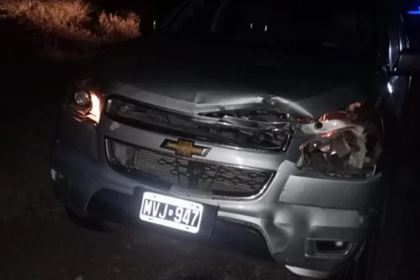 Animal suelto en la ruta causó un siniestro vial con daños