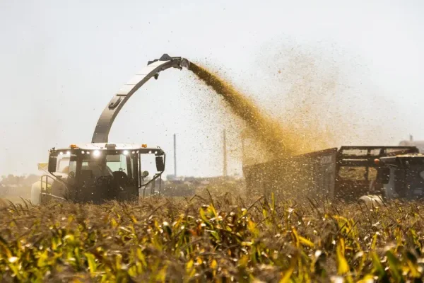 El sector agrícola logró una cosecha récord y superó las 163 millones de toneladas
