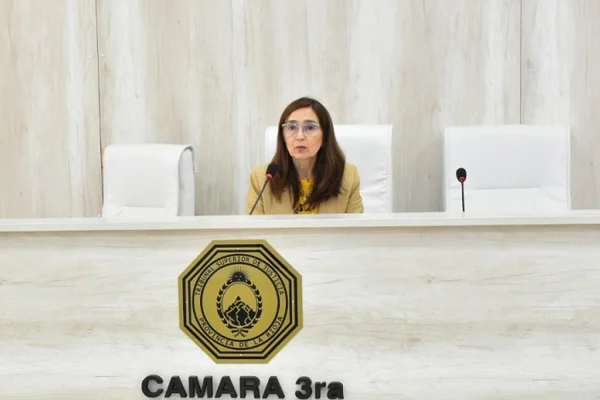 Una jueza del fuero local denunció violencia de género