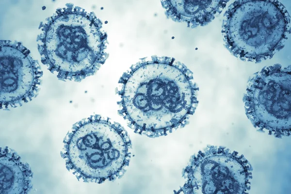 La Rioja activó un protocolo preventivo por Hantavirus tras el paso de turistas infectados