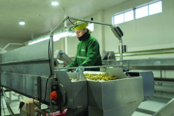 Fortalecen la formación de jóvenes en empresas del interior