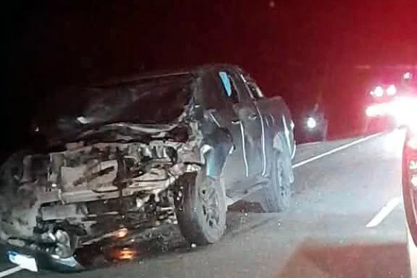 El intendente de General Lamadrid resultó ileso luego de chocar contra un caballo en Ruta Nacional 76