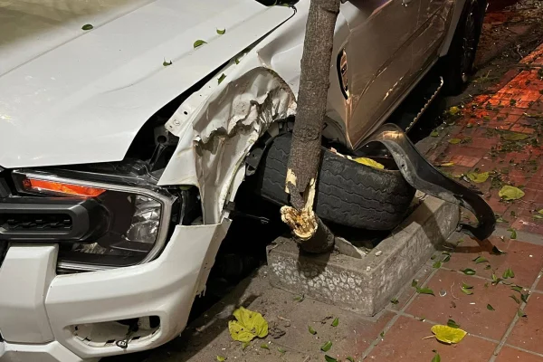 Conductor perdió el control de su camioneta y chocó contra un árbol