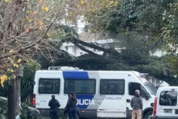 Los primeros detalles oficiales de la muerte del Indio Solari: lo encontró su cuidadora al lado de la pileta