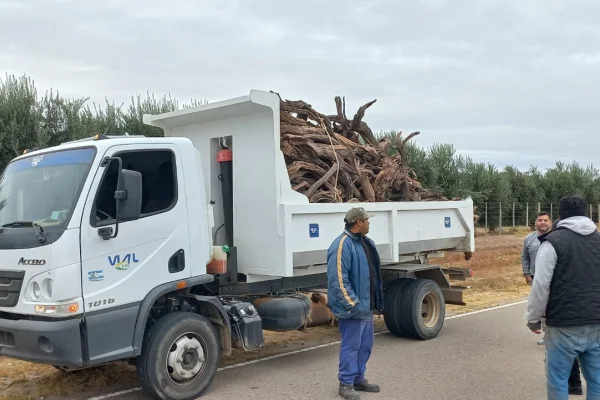 Retuvieron un camión cargado con leña en un confuso hecho