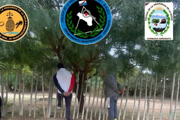 La Policía frustró un robo de aceitunas en Aimogasta y detuvo a dos hombres