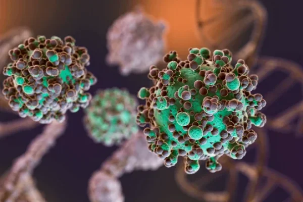 Hantavirus: se notificaron nuevos casos y la totalidad de los mismos asciende a 47