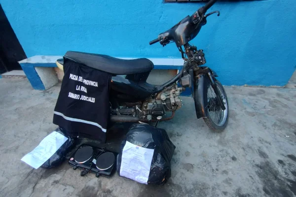 Secuestraron 30 aves silvestres durante la detención de un sospechoso por robo
