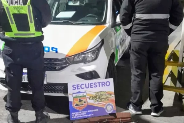 Secuestran arma y municiones ocultas un camión que iba desde La Rioja al Sur del país