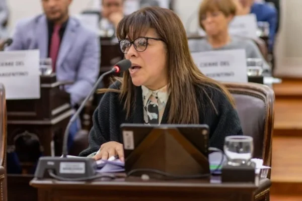 La diputada Rodríguez analizó el reclamo por los límites provinciales y la discusión sobre recursos naturales