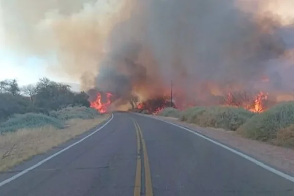 Incendio en Cafayate: el fuego ya consumió más de 200 hectáreas
