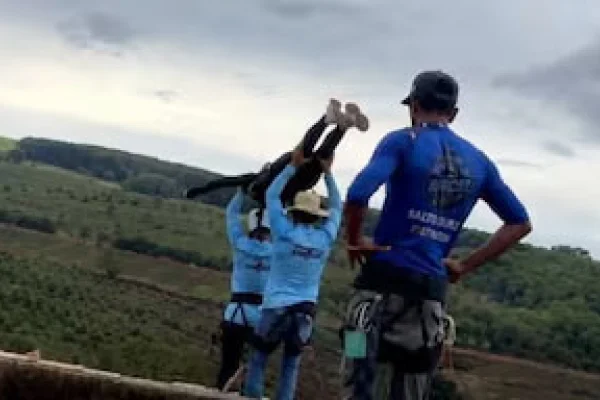 Brasil: detuvieron a seis personas por la muerte de la joven lanzada sin cuerda desde un puente