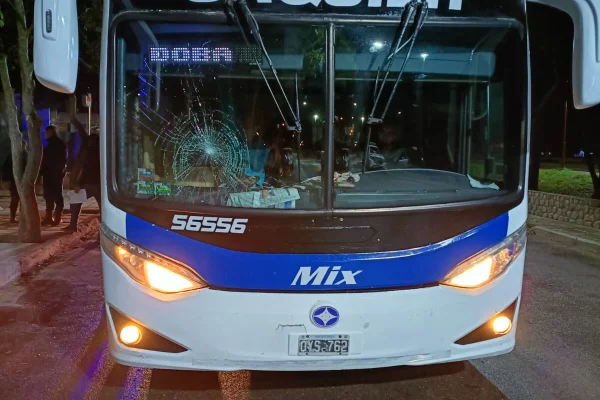 No lo dejaron viajar por no tener DNI físico y su hermano rompió el parabrisas de un colectivo