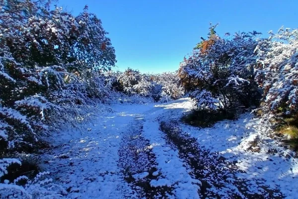 Nieve, frío y paisajes únicos: así amanecieron este lunes las sierras de Córdoba