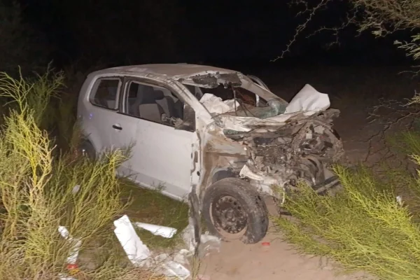 Conductor herido tras impactar contra dos animales sueltos cerca de Villa Unión