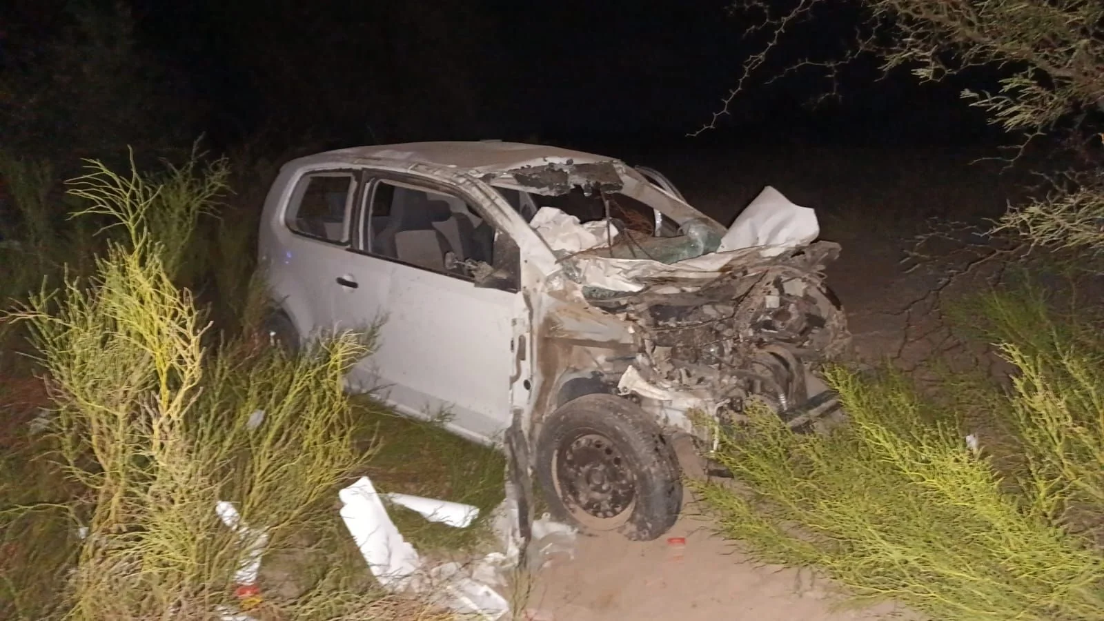 Conductor herido tras impactar contra dos animales sueltos cerca de Villa Uni&oacute;n