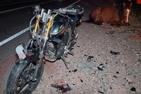 Un joven motociclista resultó herido tras chocar contra un caballo suelto en la Ruta 74