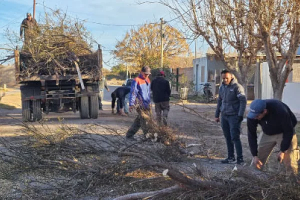 Realizan poda y desmonte en varios sectores