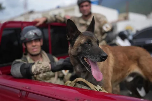 Bart, el perro rescatista argentino que halló a dos niños con vida en Venezuela