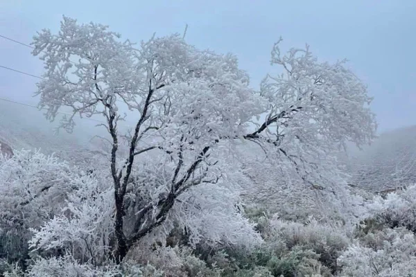 Frío extremo y alerta en La Rioja y varias provincias
