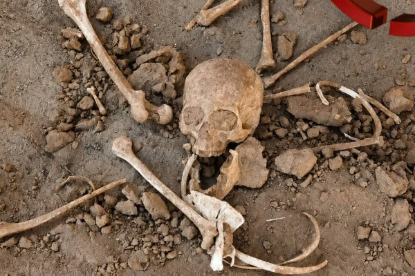 Misterioso hallazgo: Encuentran restos óseos a la vera de la Ruta 40 en Famatina