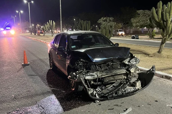 Un perro suelto provocó un fuerte choque en Avenida Ortiz de Ocampo