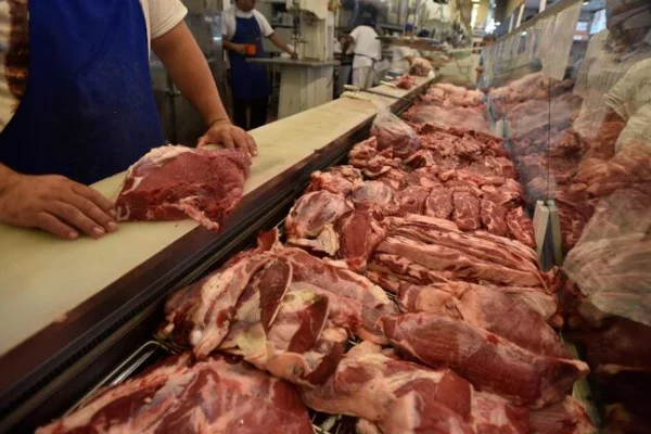 El Municipio Capital desmintió versiones sobre la venta de carne equina en carnicerías de la ciudad