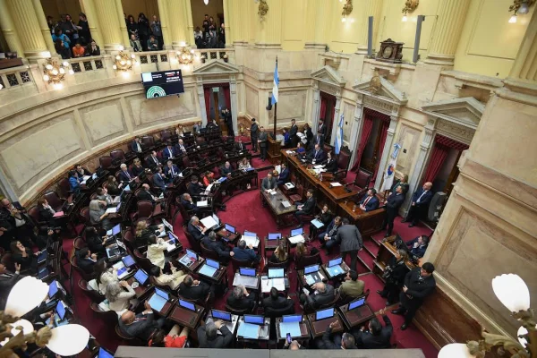 El Senado realiza su última sesión antes del receso  con las PASO aún sin definición