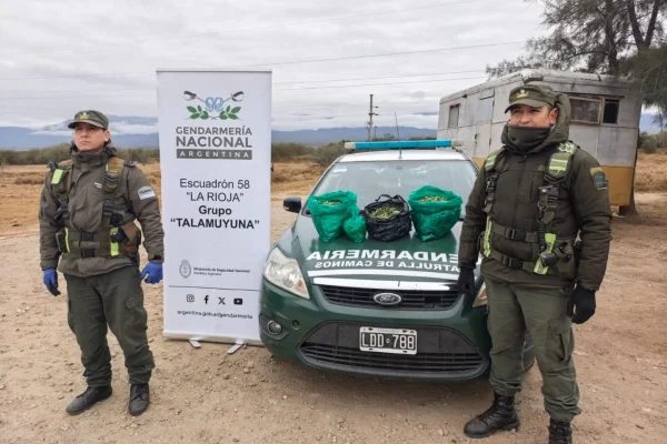Gendarmeria secuestró más de 19 kilos de hojas de coca en un colectivo